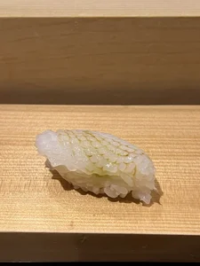 Protocol_loka 🍣🍣🍣🍣 Pic