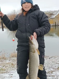 CathySuns Моё хобби Pic 2