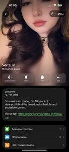 My social media de VertaLin Foto 3