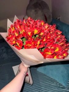 evaharve Thanks for the flowers NorthernKnightOfEvlampia :) Foto