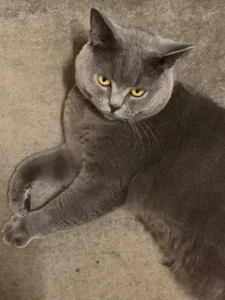 liana_kisses summer evening with me🌅✨ Immagine  5