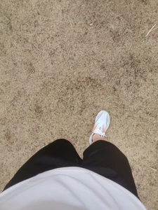 swg176のPublicの 8枚の写真