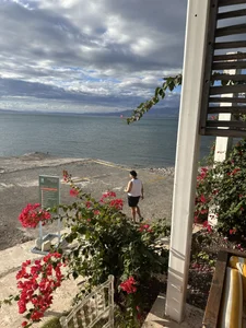 chubbydominican Public  4. fénykép