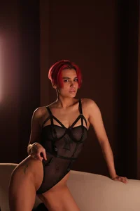 VioletAsh Public Εικόνα 2