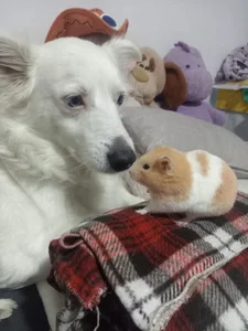 atena_hill Public Pic 5