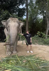 dymonted MOOD Bilde 3