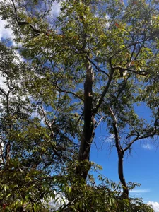 Saelivrae New Adeventure Pic 7