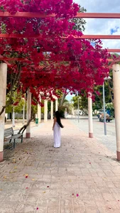 DianaaLight Get to Know Me зображення 5