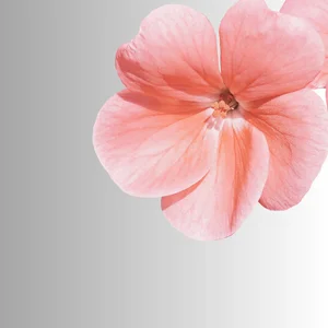 FelicityLaurentLiのPublicの枚の写真