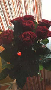 MerrieBarnicle In the world of flowers 🌺🌿 Pic 4