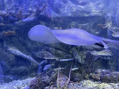 AresMassimoX How beautiful nature is🌎 Billede 4