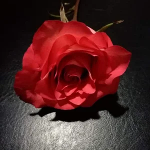 ferdinad20 Smile!!! 사진 4