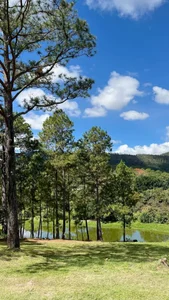 pregnant_sofii18I love you nature Bild 4