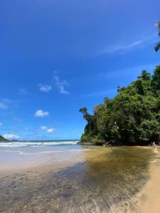 myamillor Public Foto 5