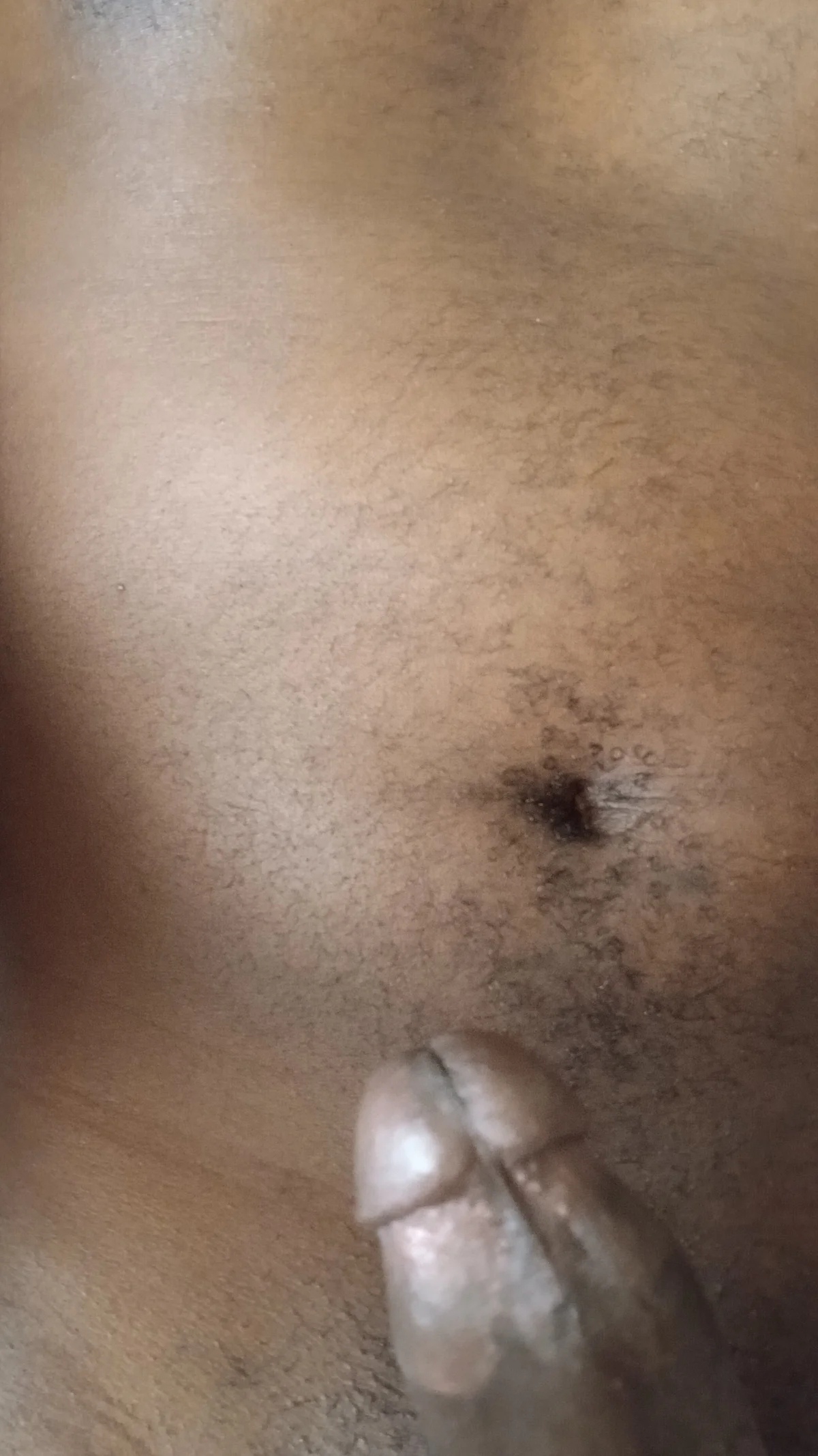 Трендове зображення  9341 Mdan25