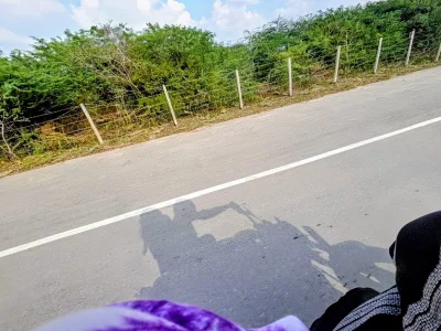 CelestialLeo9 Public Bilde 5