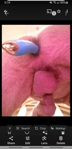 Hand69someguy Public Hình 7