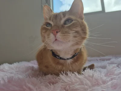 Miaa_gh1 😍😍 Pic 7