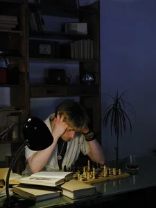 Public de Vincent_Hardman  6 photos