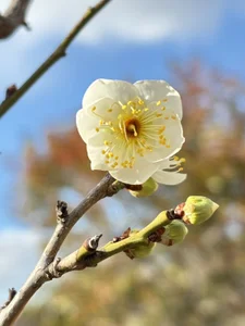 xxoLENAoxx a parco Foto