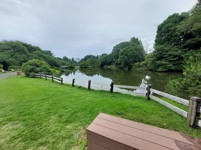 SuaveRod Public Gambar 4