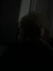 LeDameのSissyの 3枚の写真