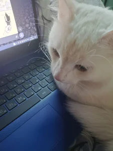 DesireKira My pretty cat 🙀 รูป  5