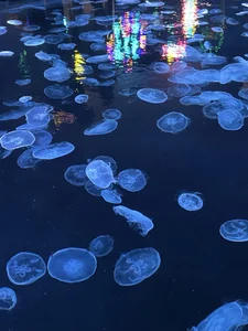 Rukachan_ kullanıcısının Public albümü -  2 fotoğraf