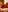 Tinuus's photo