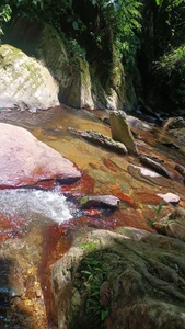 CrystalFox_Ofc Public Pic 5