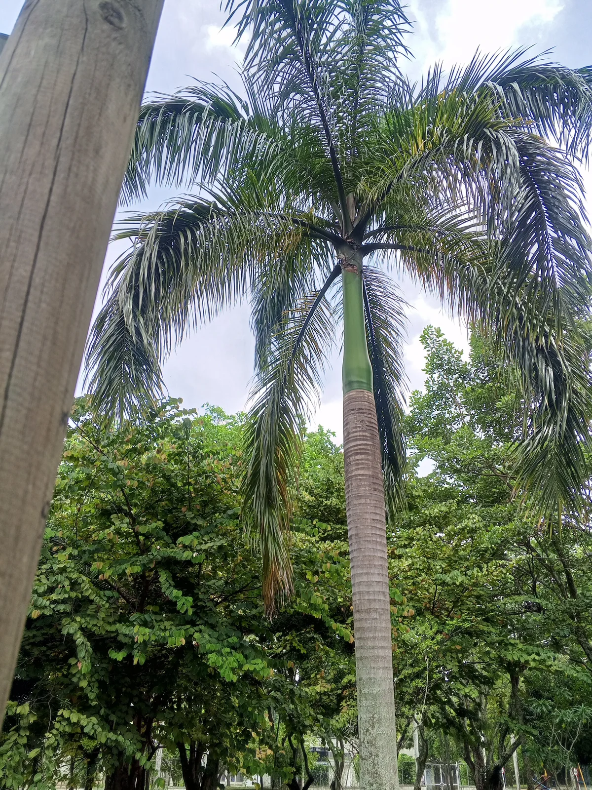 Paulina_Sodi Foto en Tendencia 4464