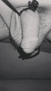 Dennyrtti Public Pic 4