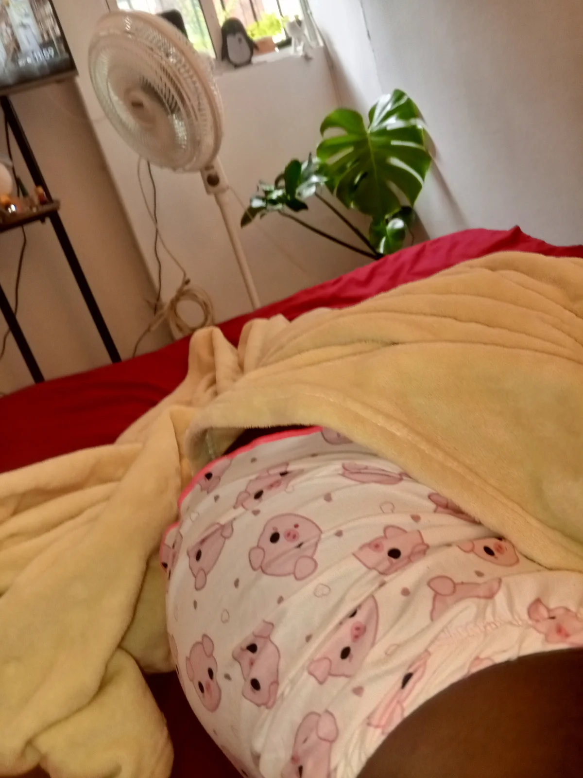 Paulina_Sodi  1816. kiemelt képe