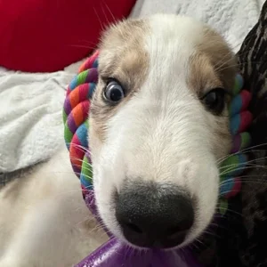 Freedom street de R1mmo__  7 Imagens