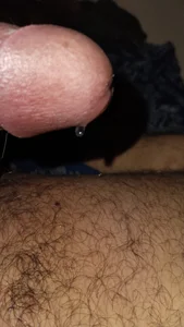 pontins Toma Εικόνα