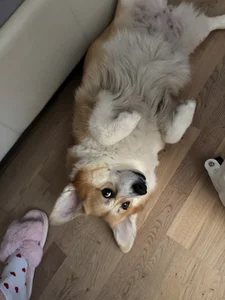 JuicyHelenX my friends صورة واحدة|JuicyHelenX my friends صورتان|JuicyHelenX my friends  5 صور|JuicyHelenX my friends  5 صورة