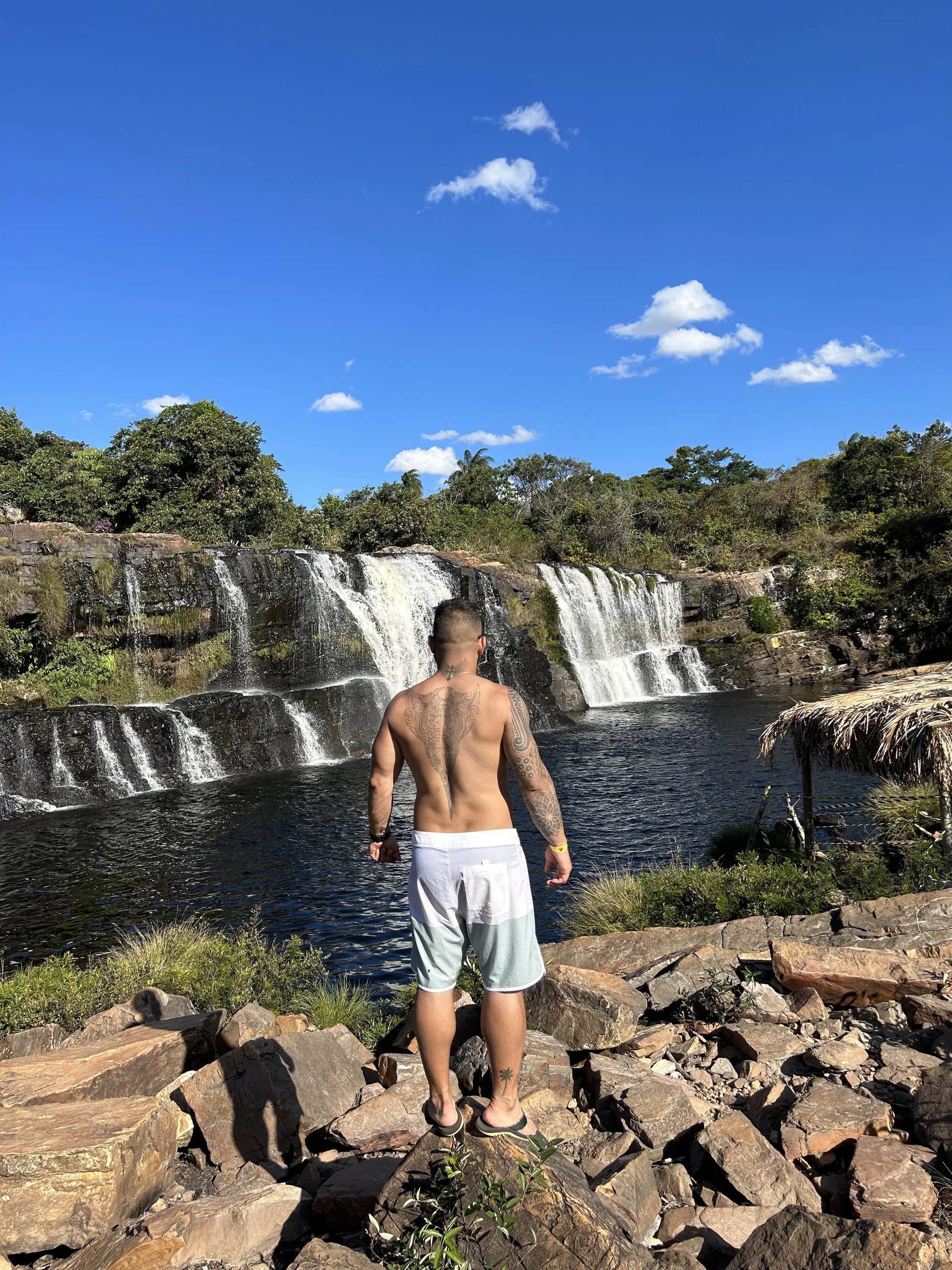 Nobrelion89Public图片 3