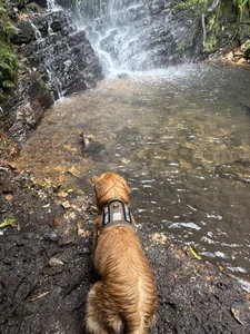 Sr_evann Waterfall, ice cream, billie and me Pic 8