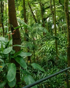 DanyNova_Coの📷🌍| Where I’ve Been… Caught in Magic Moments & Places|🌍📷の 4枚の写真