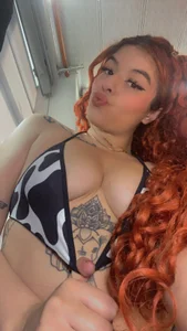 Jensen-Hally Cow hally Pic