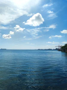 elflacodel25 Public Immagine  2