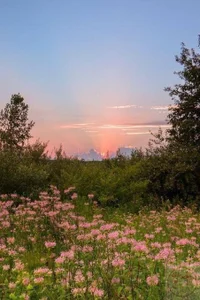 Eva_Meo so beautiful Pic 2