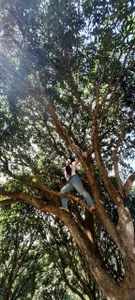 fixyladyのPublicの枚の写真