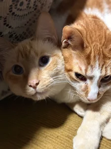 abbyhall_ The loves of my life 🥹 Pic