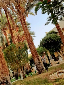 rebekkacharm Egypt Foto 3