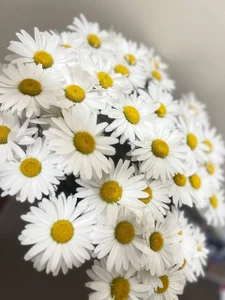 AmberDismond your gifts🥰♥💋 Billede 2