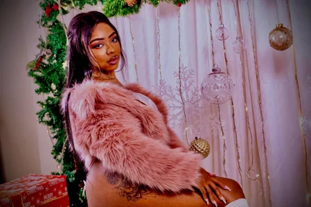 mia_schwarzのMerry Chrystmasの 2枚の写真