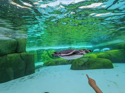 _hina_chan_Public Bild 5