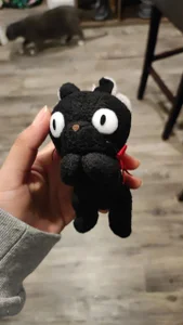 Maddy_rosse12 STUDIOS GHIBLI AND SANRIO ARE MY ADORATION! 💕 Pic