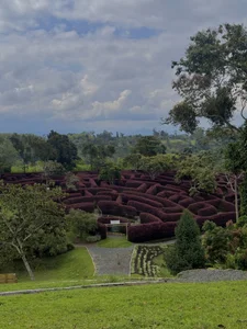 Angelo_018 My last travel Foto